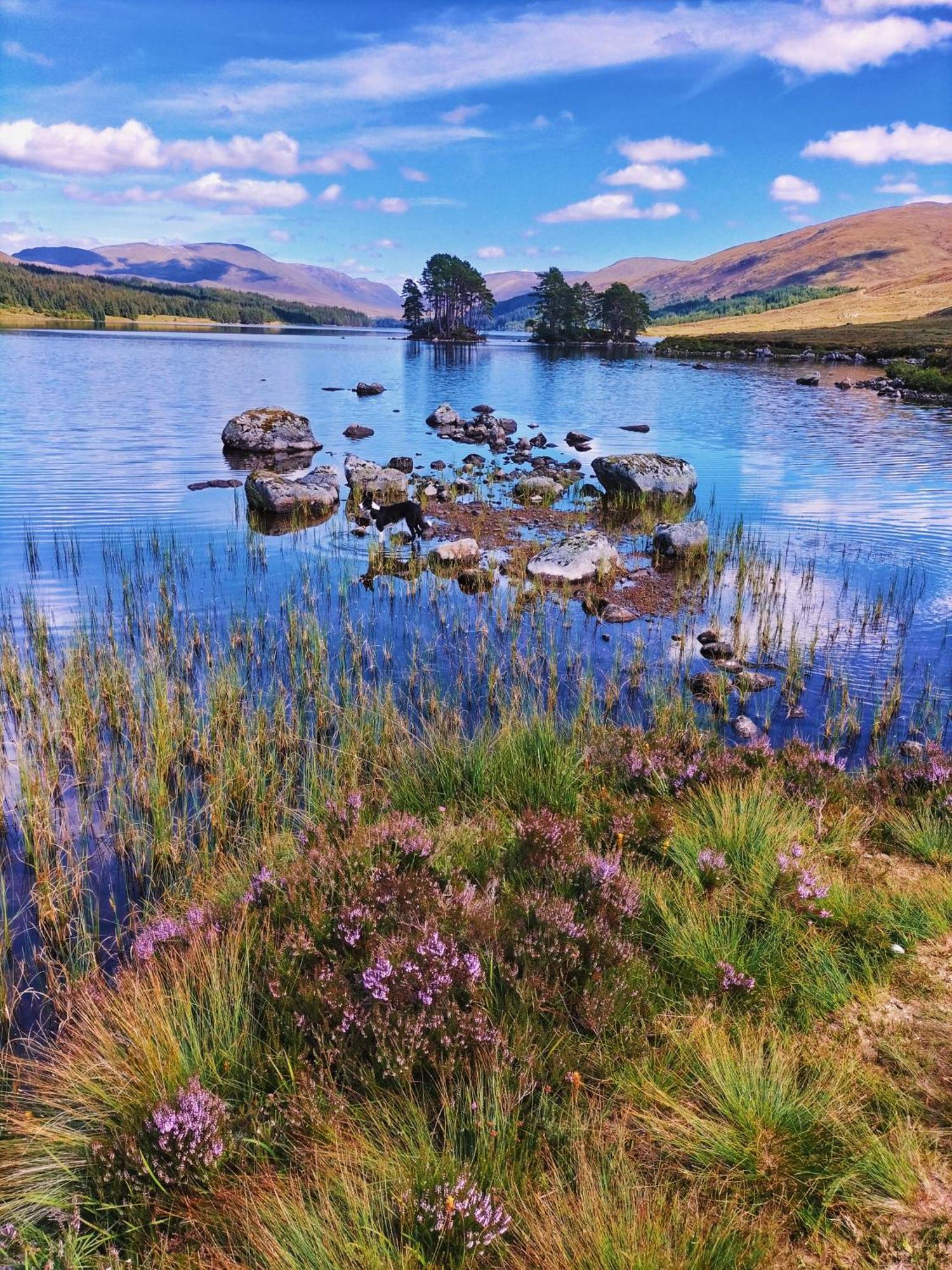 Glenfinnan Retreats Eksteriør bilde